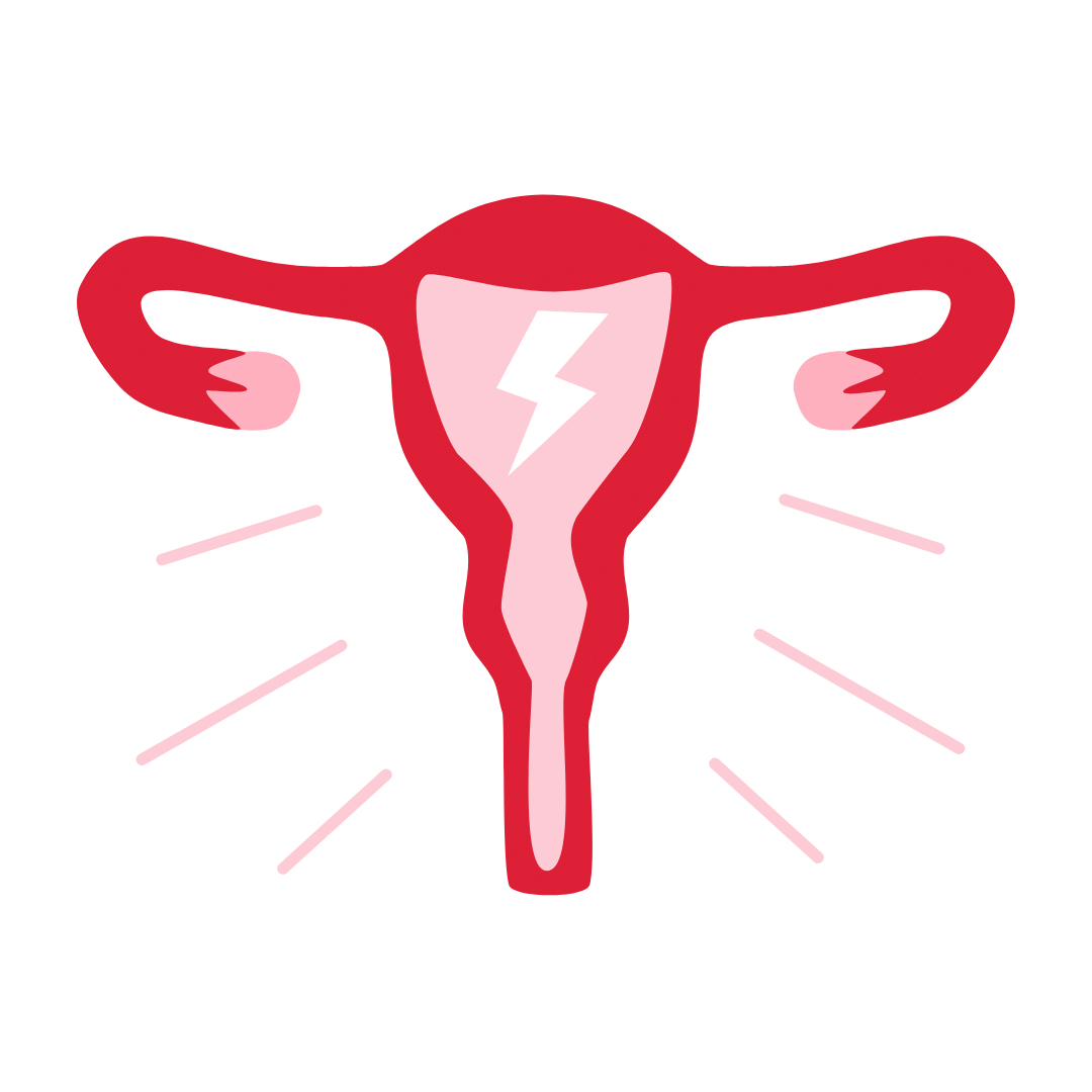 Schéma d'utérus qui illustre l'article sur le syndrome prémenstruel | Hélène Kraus | Micronutritionniste à Bordeaux Le Bouscat