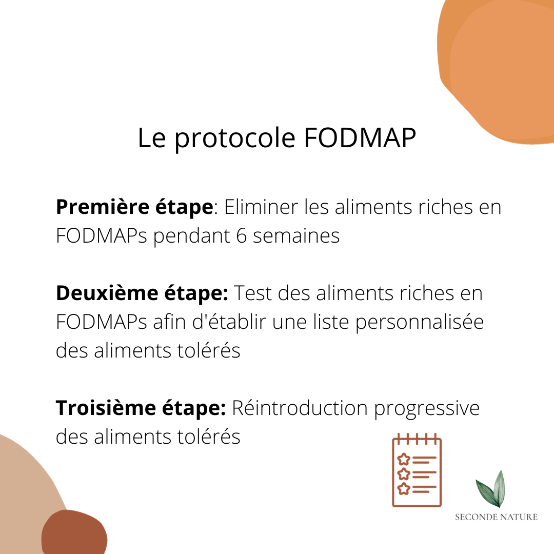 les étapes du protocole FODMAPS | Hélène Kraus | Diététicienne à Bordeaux Le Bouscat