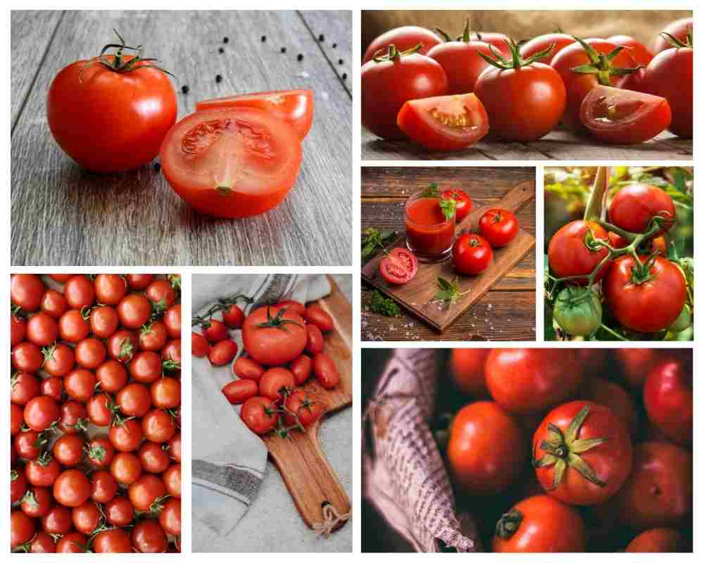 Red-and-White-Tomato-Photo-Collage.jpg